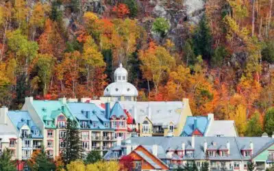 Autumn is the best time to renew your caulking!